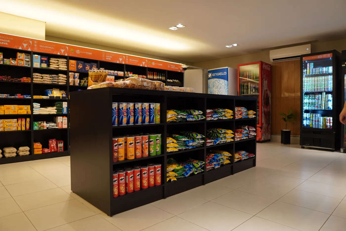 Freezers de loja SmartStore